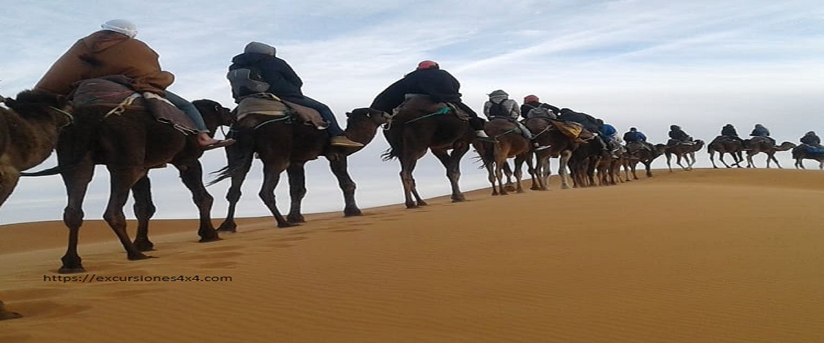 11 Días tour desde Casablanca por Marruecos